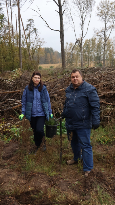 Удзел БДАМЛМ у добраахвотнай акцыі “Дай лесу новае жыццё!”